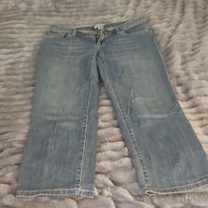 LOFT Light Blue Capri Jeans